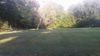 W Genesee photo